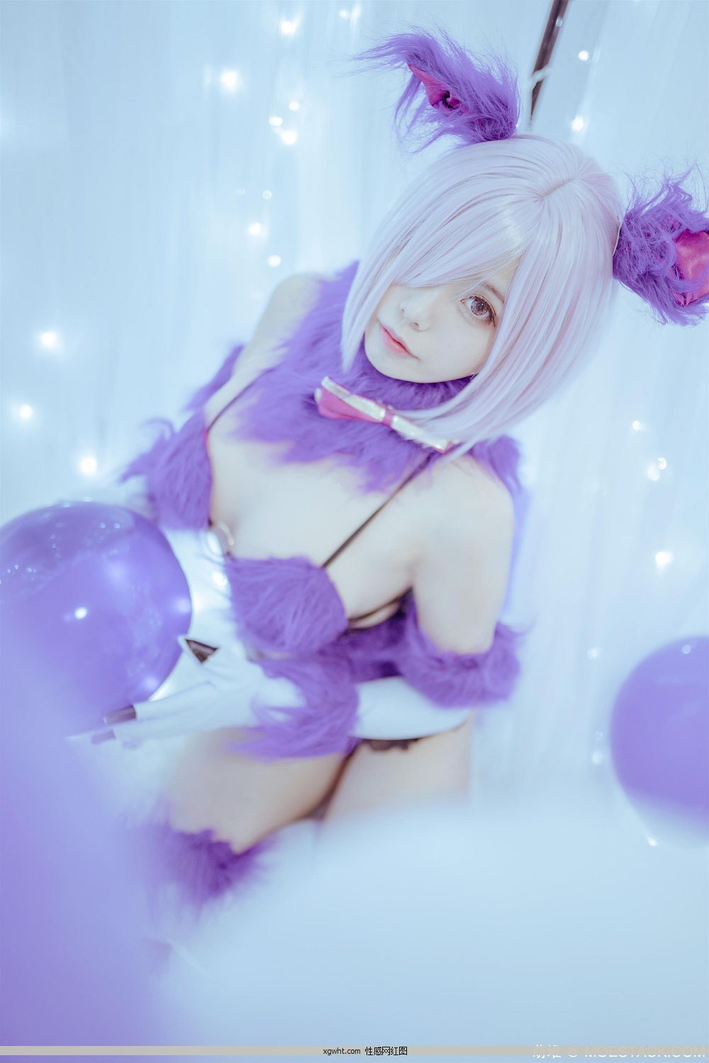 ΢Coser@СҰw –   B[16P]