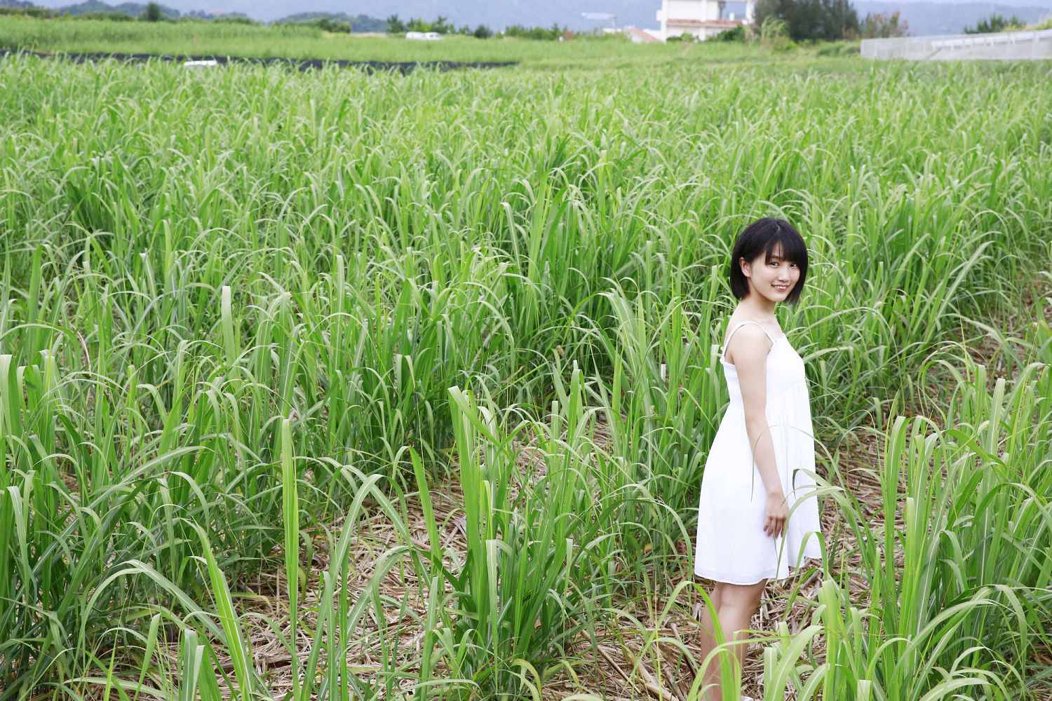 ľY Musubu Funaki [Hello! Project Digital Books] No.173 д漯